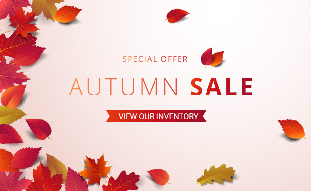 Autumn Sale
