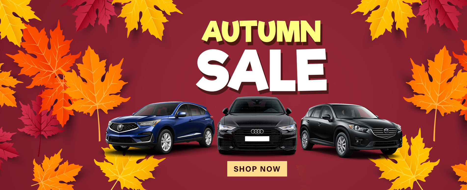 Autumn Sale
